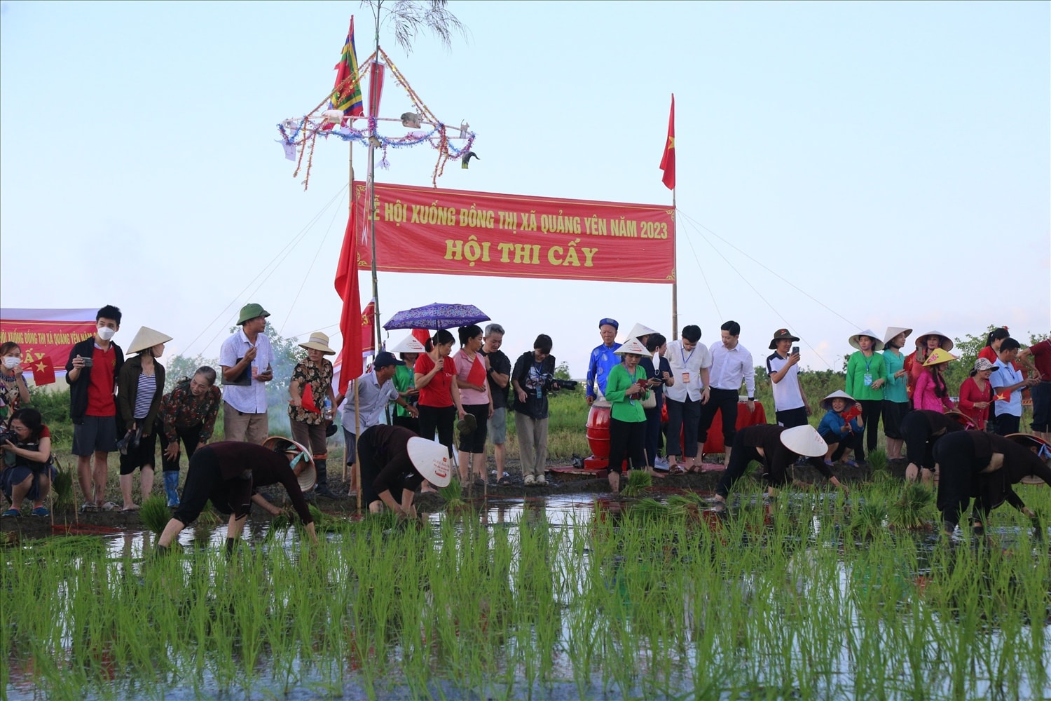 Hội thi cấy nhận được sự cổ vũ sôi nổi của người dân và du khách