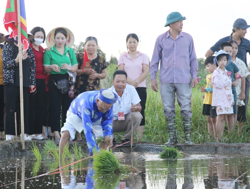 Ông chủ tế xuống ruộng trước cửa đình Cốc cấy những cây lúa đầu tiên 