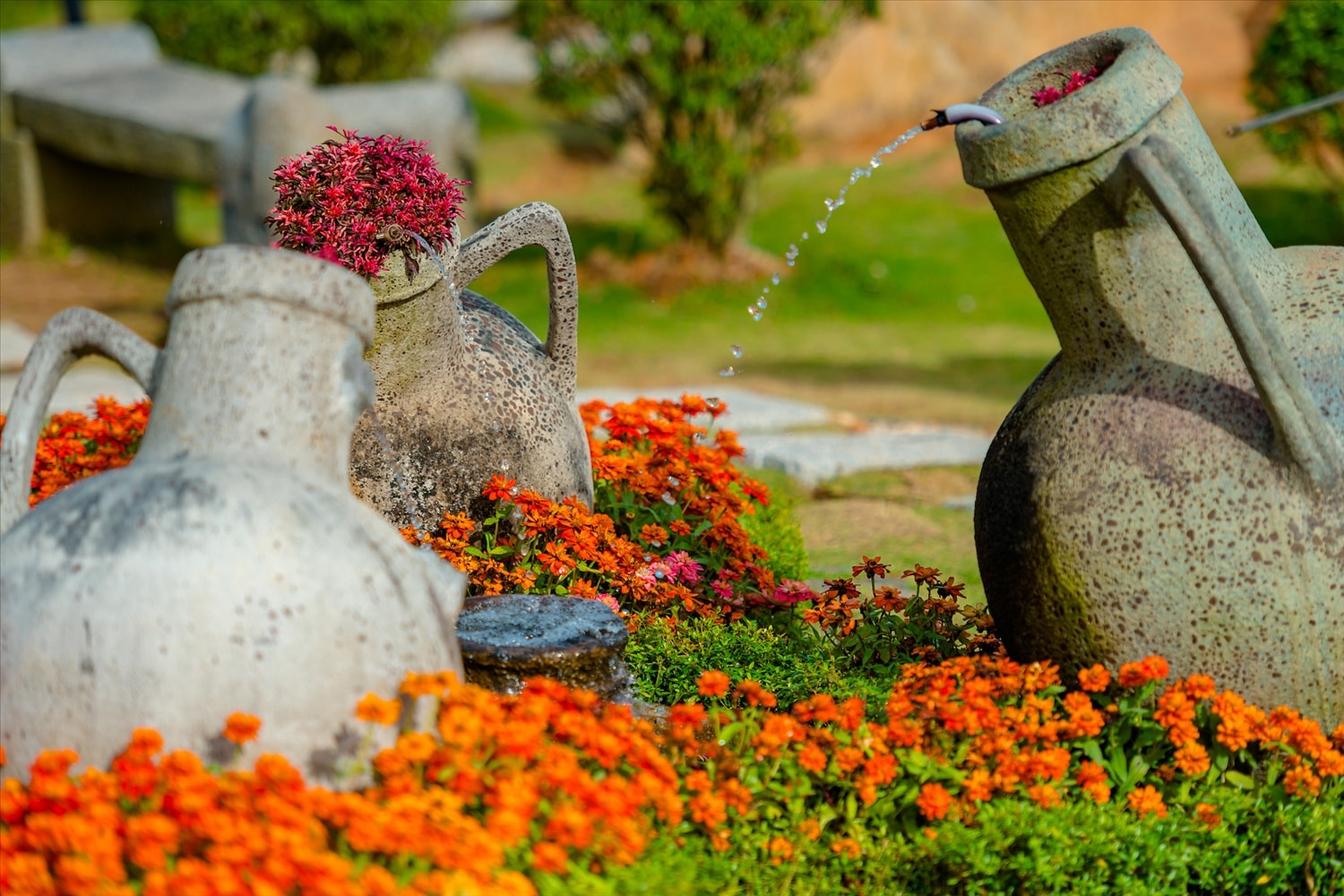 Muôn hoa khoe sắc tại núi Bà Đen