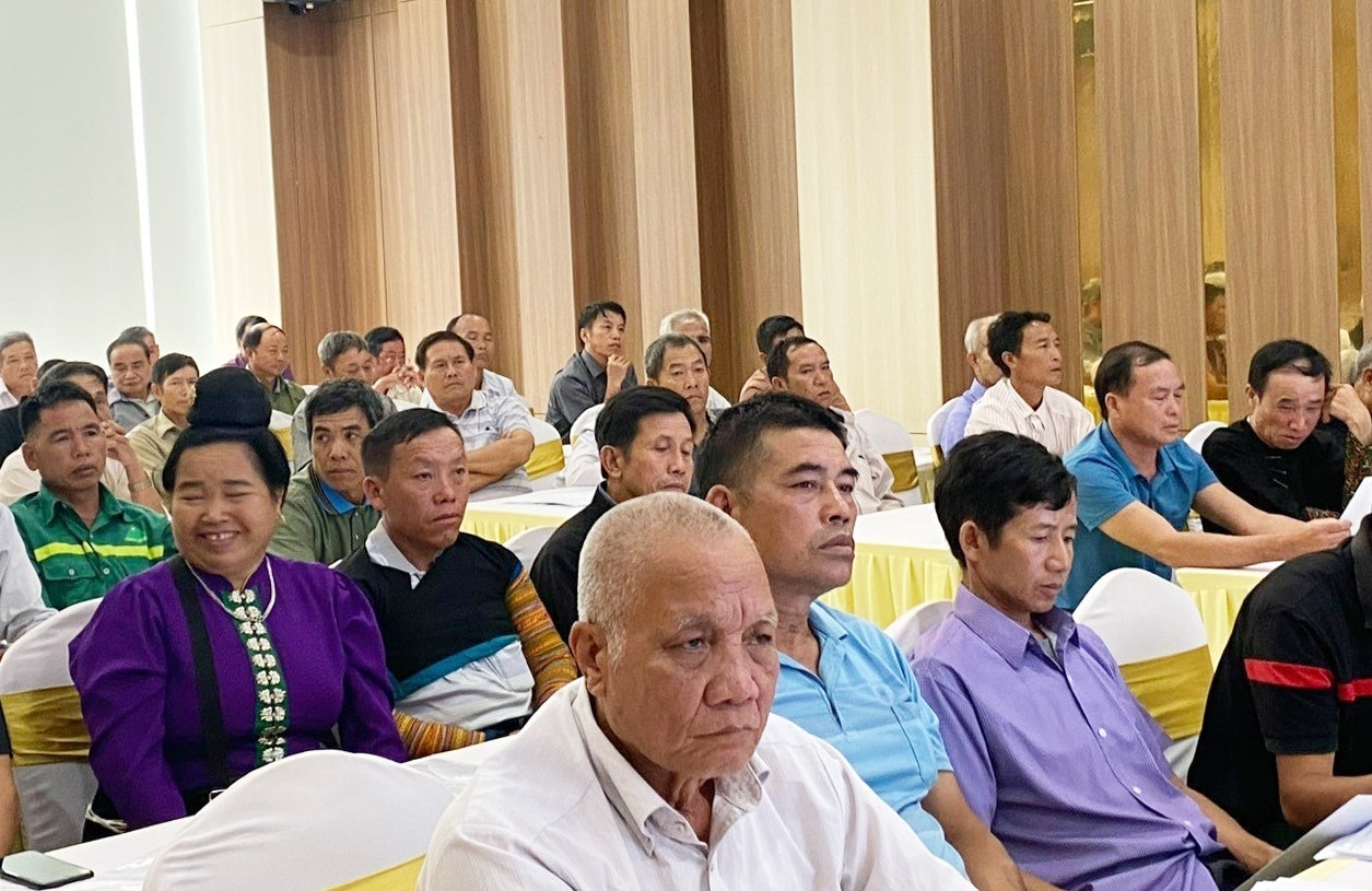 Các đại biểu dự Hội nghị