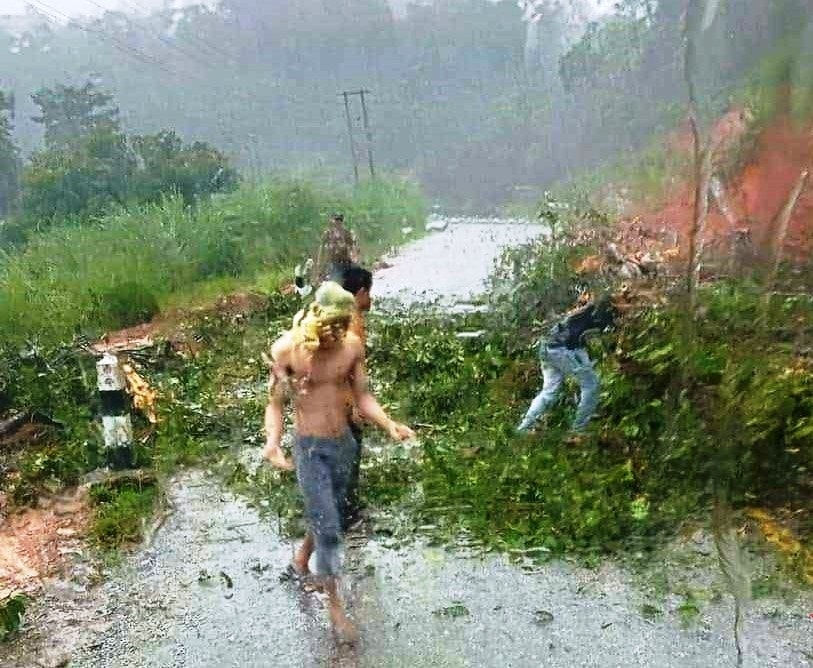 Tài xế dọn dẹp cây cối đổ xuống đường, mong sớm lưu thông qua cửa khẩu