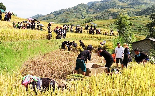 Yên Bái xây dựng các chỉ số hạnh phúc trên cơ sở giữ gìn bản sắc văn hóa truyền thống. Yên Bái xây dựng các chỉ số hạnh phúc trên cơ sở giữ gìn bản sắc văn hóa truyền thống.