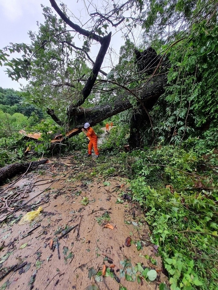 Công nhân Điện lực Thành phố tiếp cận vị trí sự cố Công nhân Điện lực Thành phố tiếp cận vị trí sự cố