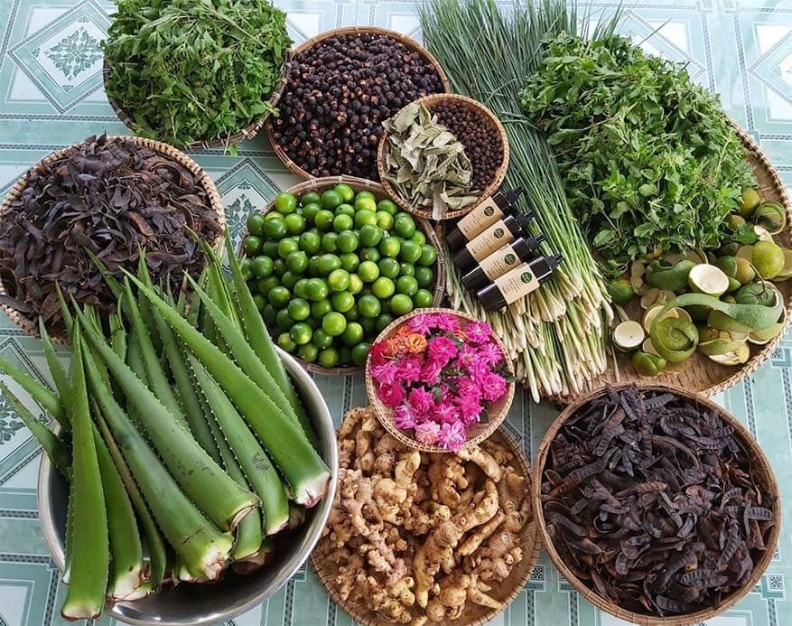 (Tổng hợp) 12 loại thảo dược trị gàu hiệu quả tại nhà