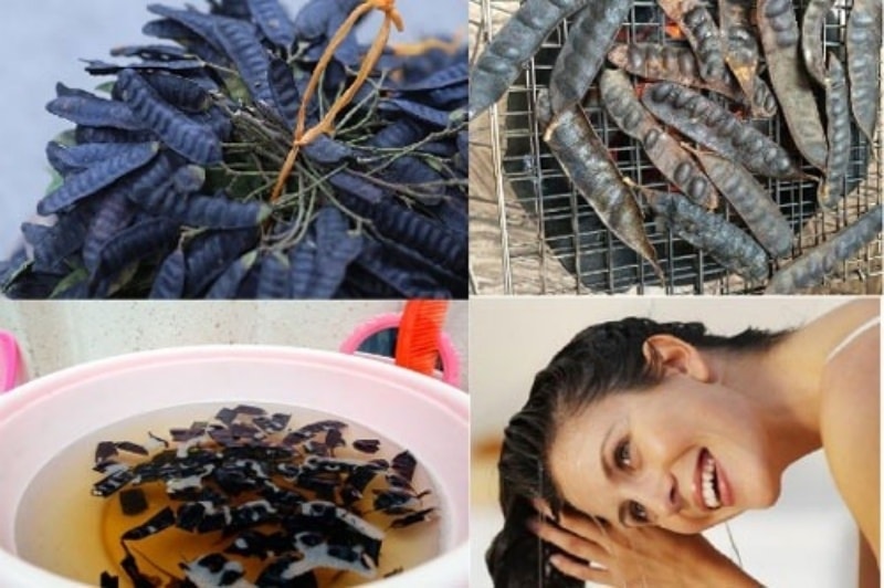 (Tổng hợp) 12 loại thảo dược trị gàu hiệu quả tại nhà 2