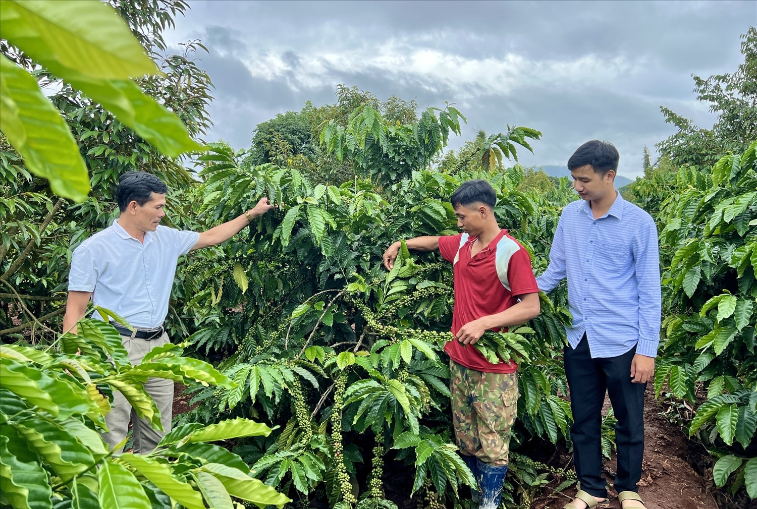 Người dân xã Ia Mơ Nông thay đổi nếp nghĩ cách làm, đồng tình, chung sức xây dựng nông thôn mới Người dân xã Ia Mơ Nông thay đổi nếp nghĩ cách làm, đồng tình, chung sức xây dựng nông thôn mới