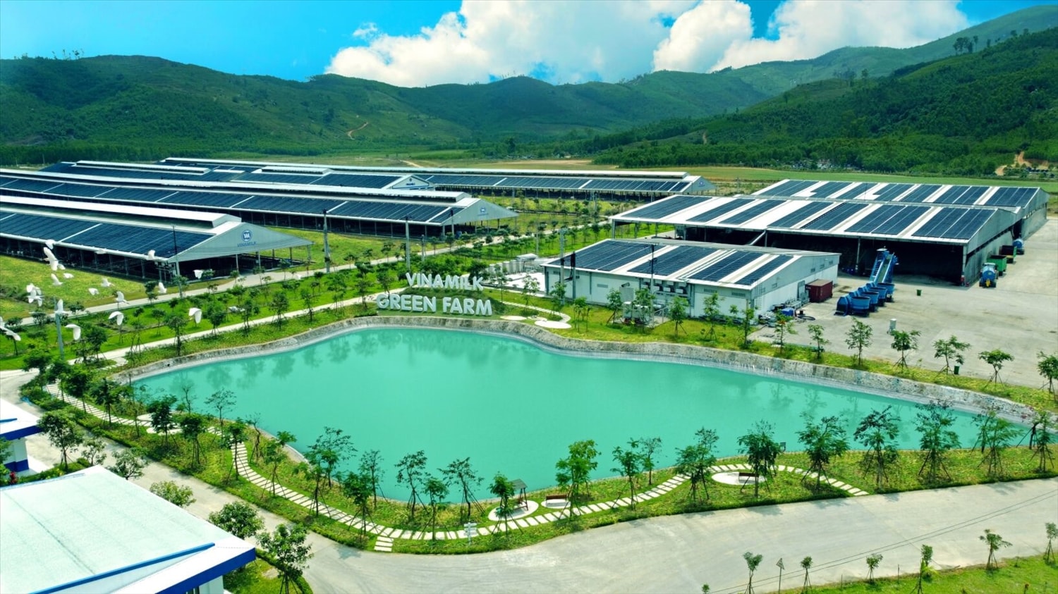 Các trang trại sinh thái Green Farm được Vinamilk đầu tư mạnh trong những năm gần đây 