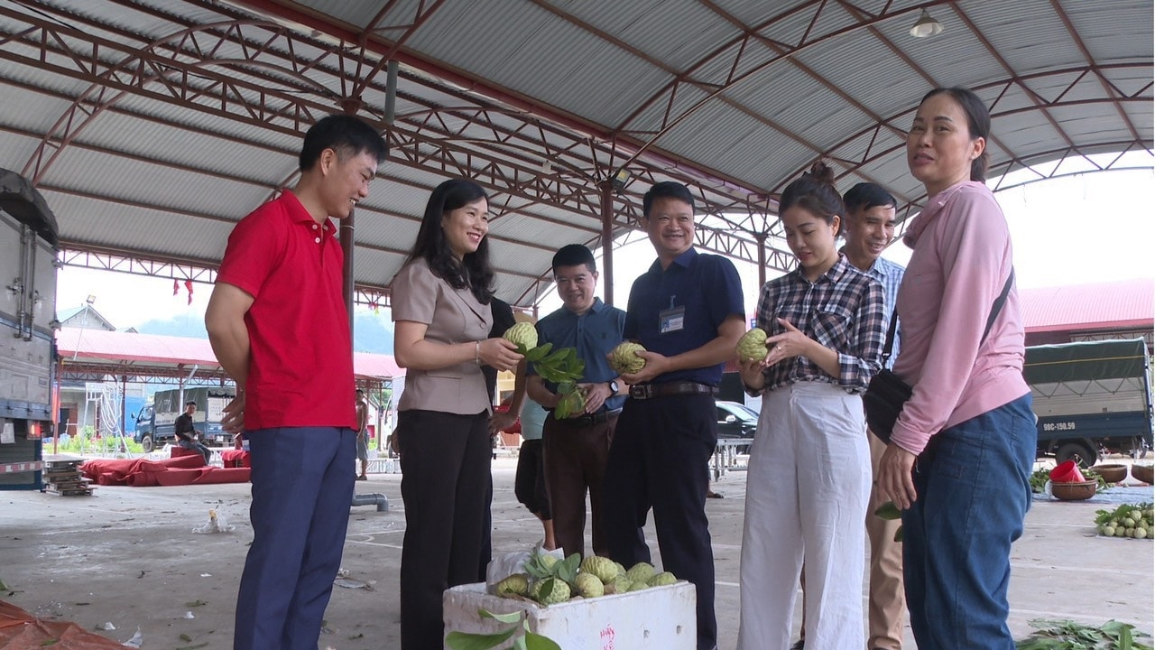 Đồng chí Trần Thanh Nhàn (thứ 2 từ trái sang), Bí thư Huyện ủy Chi Lăng kiểm tra việc tiêu thu na trên địa bàn. Đồng chí Trần Thanh Nhàn (thứ 2 từ trái sang), Bí thư Huyện ủy Chi Lăng kiểm tra việc tiêu thu na trên địa bàn.