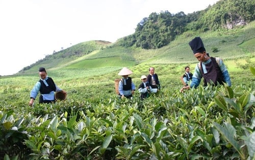 (Tổng hợp) Mức chi hỗ trợ khởi nghiệp, thu hút đầu tư vùng đồng bào dân tộc thiểu số và miền núi 1