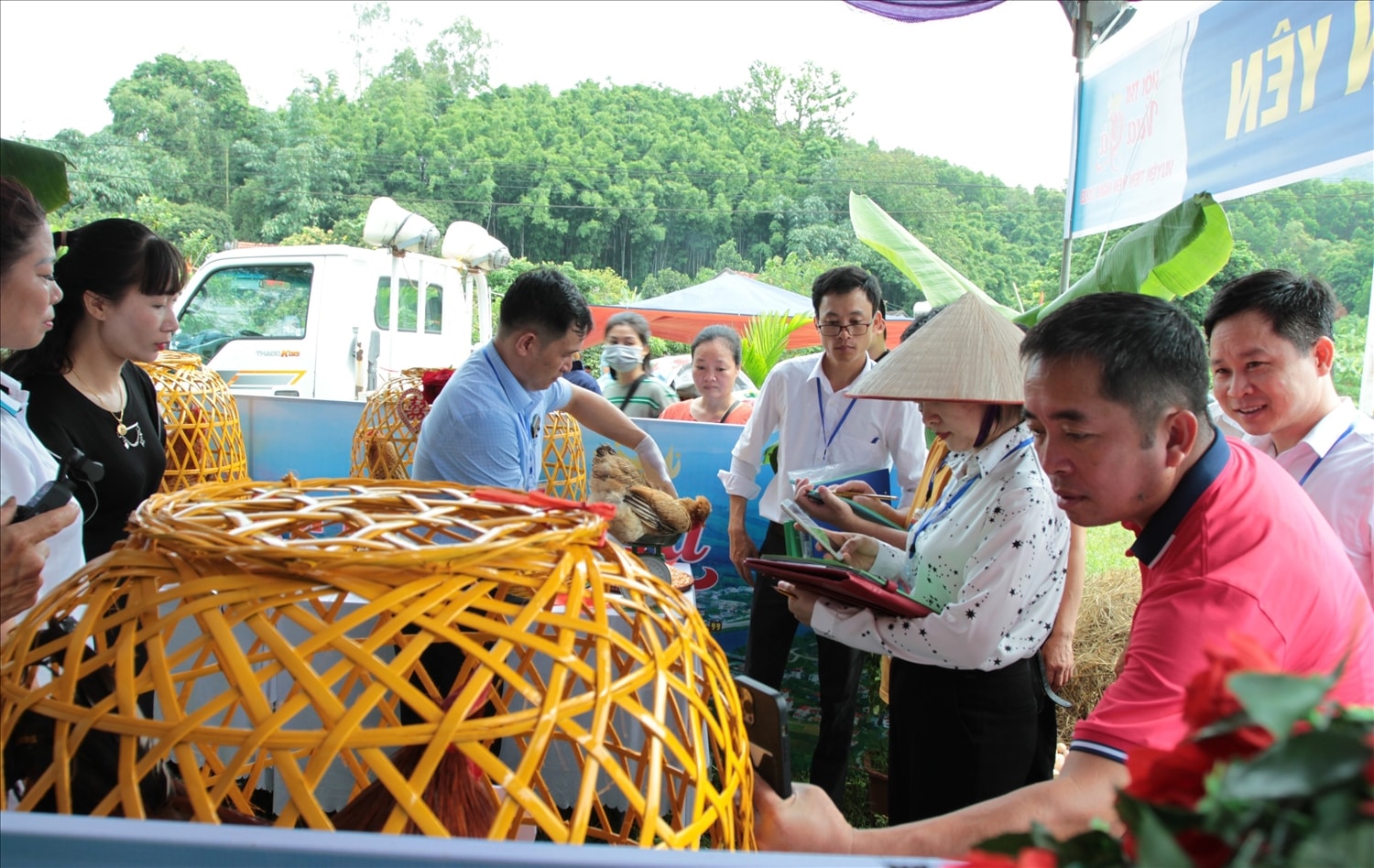 Giám khảo chấm điểm các thí sinh gà