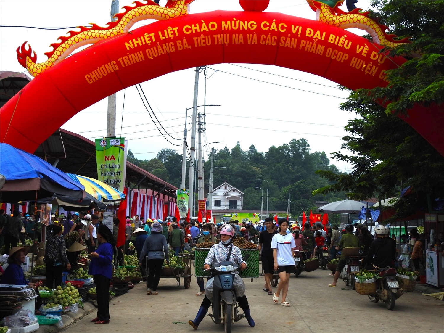 Chương trình có sự tham gia của đông đảo người dân và du khách