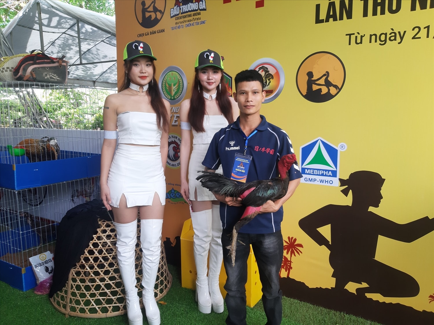 Những chú gà chọi sẽ tham gia tranh tài tại Ngày hội