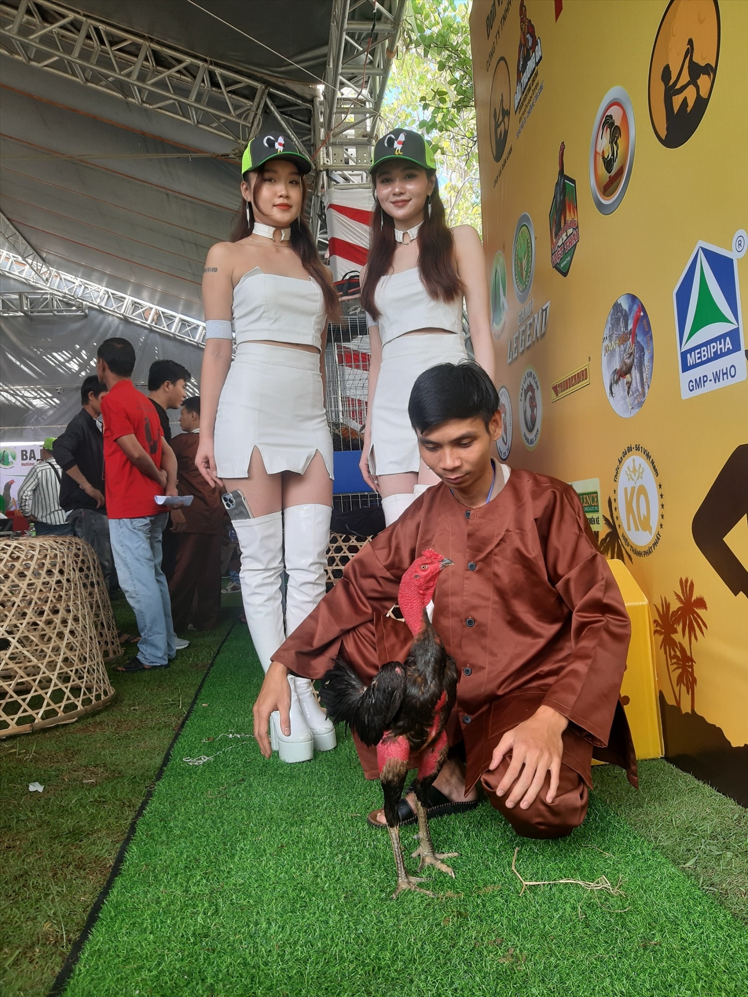 Những chú gà chọi sẽ tham gia tranh tài tại Ngày hội