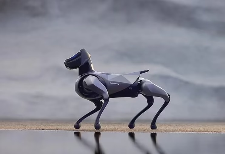 CyberDog 2 có thiết kế giống chó hơn là robot có chân. Ảnh: Xiaomi