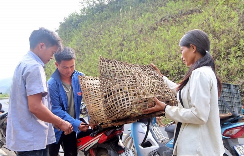 Phụ nữ DTTS ngày càng tự tin phát triển kinh tế, làm chủ cuộc sống, tham gia công tác xã hội, đẩy lùi đói nghèo, lạc hậu