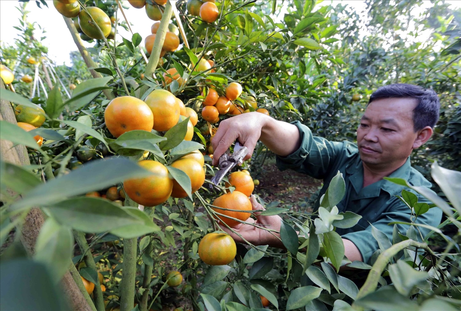 Đẩy mạnh phát triển kinh tế - xã hội trên địa bàn tỉnh là một trong giải pháp quan trọng để phát triển nhanh, bền vững tỉnh Hòa Bình 