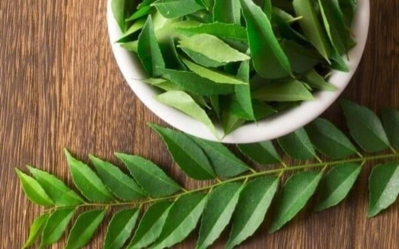 (Tổng hợp) Công dụng chữa bệnh tuyệt vời từ cây sầu đâu 1