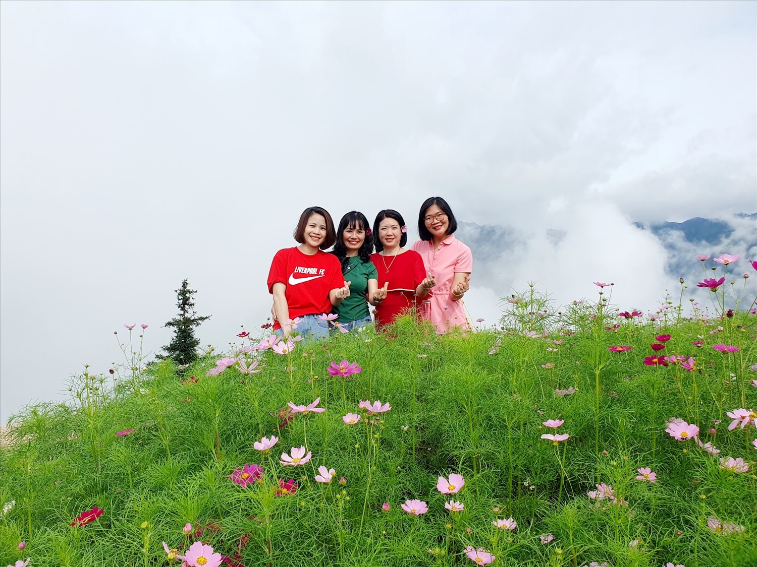 Du khách thích thú khi được đắm mình trong vườn hoa ở Suối Thầu và không quên ghi lại những khoảnh khắc đẹp giữa bạt ngàn hoa xen với mây trời