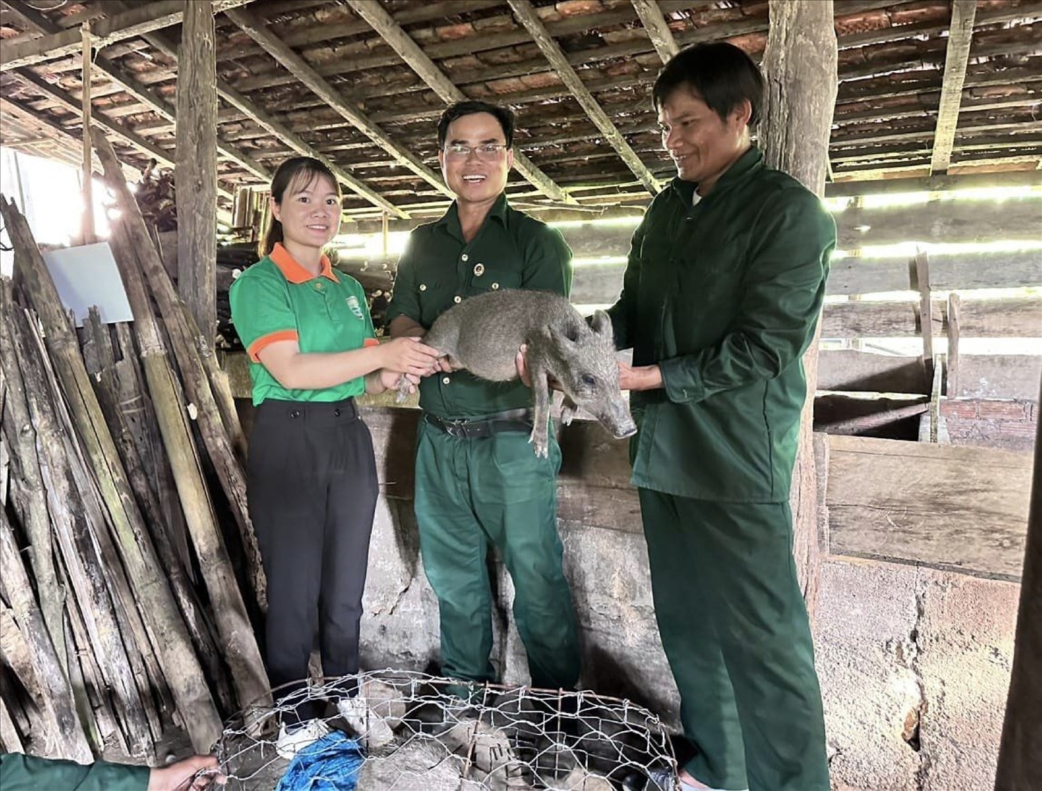 HTX Nông nghiệp và Dịch vụ Sơn Liên tặng con giống cho các xã viên để phát triển kinh tế.