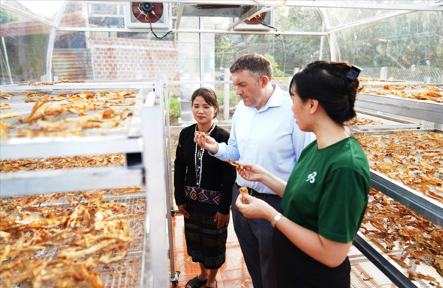 Nhà sấy măng trong nhà sấy năng lượng mặt trời được Tổ chức Plan International Việt Nam đầu tư lắp đặt hỗ trợ chị em phụ nữ Vân Kiều.