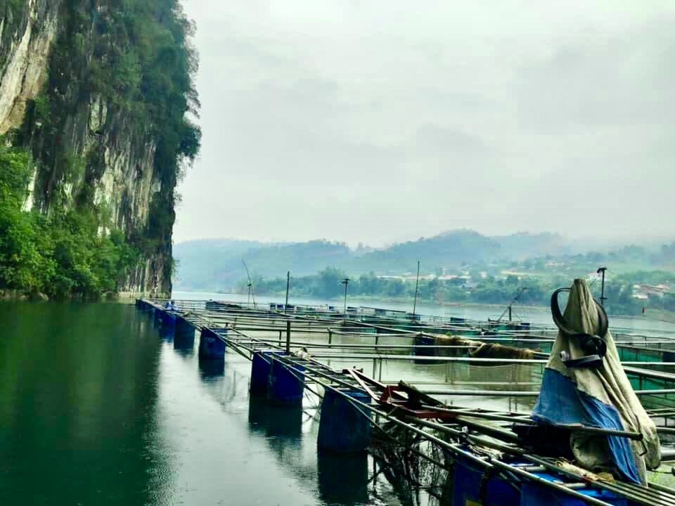 Trang trại của HTX Nông Công nghiệp và Thương mại Du lịch Than Uyên.