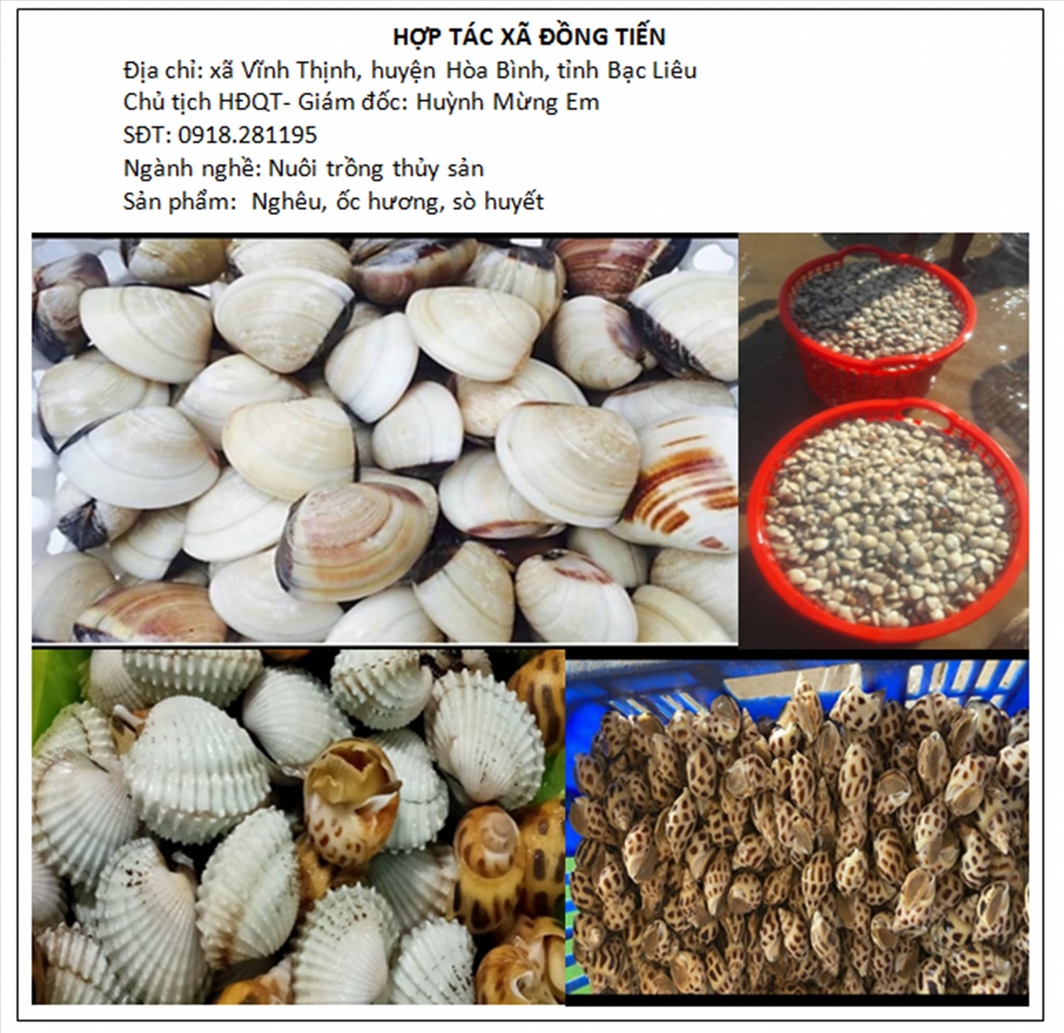 Sản phẩm ngêu, sò, ốc hương của HTX  Đồng Tiến được giới thiệu trên trang mạng xã hội của Liên minh HTX tỉnh Bạc Liêu