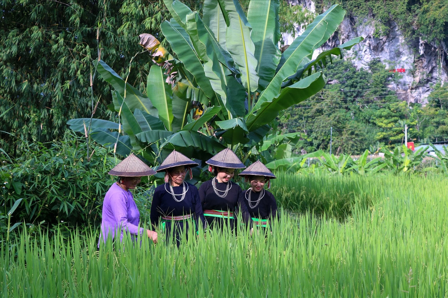 Chiếc nón lá 2 mê không chỉ được sử dụng để trang trí và làm sản phẩm du lịch, mà còn là công cụ hữu ích để che mưa và che nắng trong công việc đồng áng của người Tày.