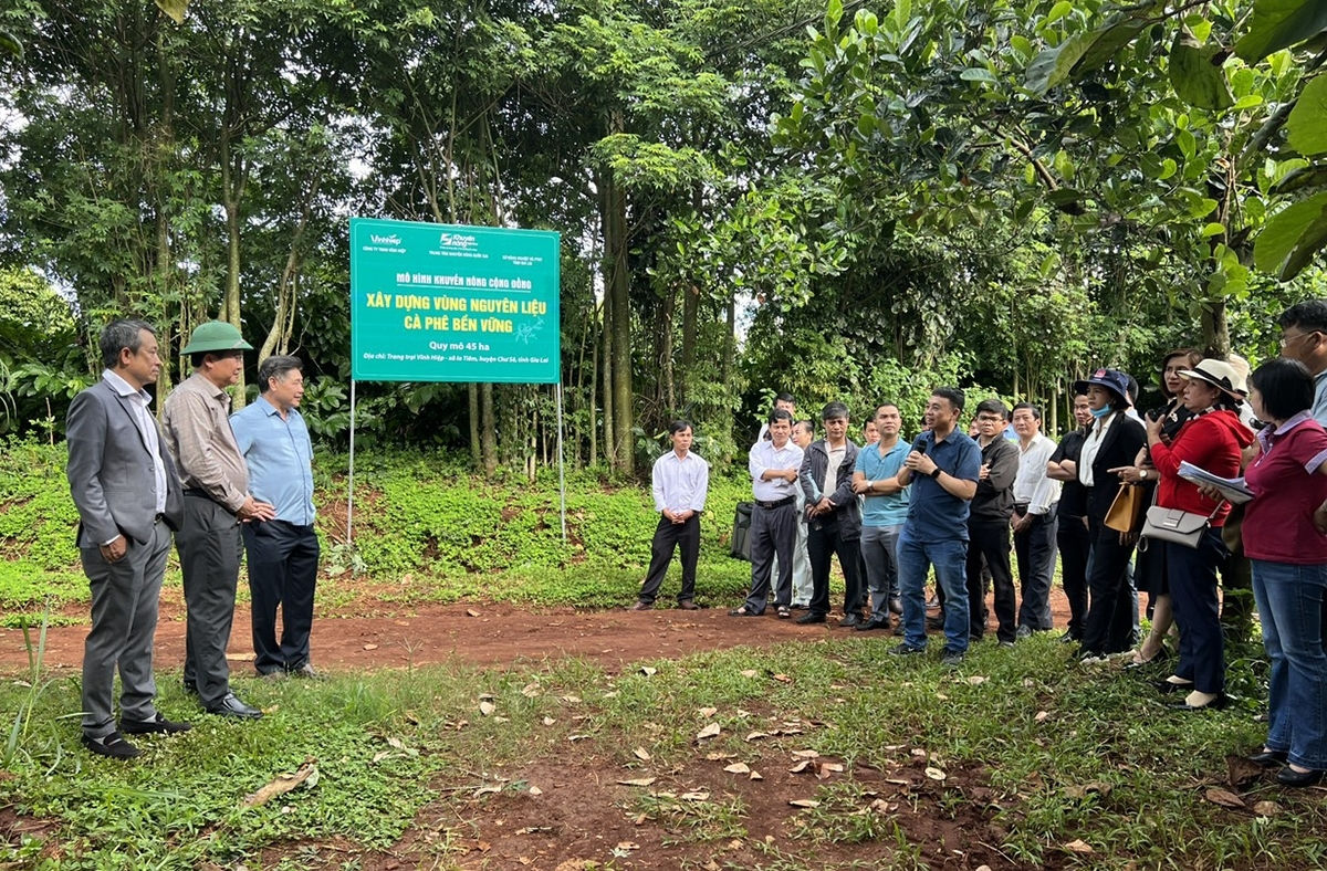 Các đại biểu tham quan, học hỏi mô hình sản xuất cà phê hữu cơ và xây dựng vùng nguyên liệu cà phê bền vững của Công ty TNHH Vĩnh Hiệp 