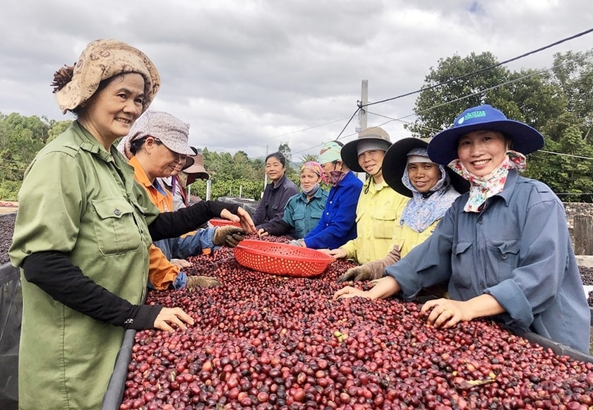 Gia Lai phấn đấu đến năm 2030 thành lập mới ít nhất 10 HTX do phụ nữ tham gia quản lý Gia Lai phấn đấu đến năm 2030 thành lập mới ít nhất 10 HTX do phụ nữ tham gia quản lý