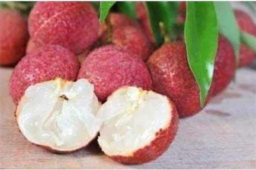 (Tổng hợp) Hướng dẫn cách trồng cây vải không hạt 3