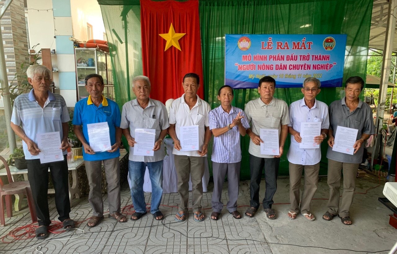Các Hội quán tham gia mô hình 