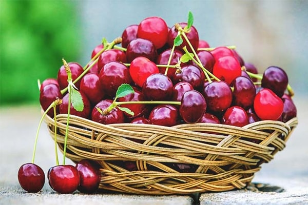 (Tổng hợp) Những loại trái cây nào tốt cho người bị ung thư 4