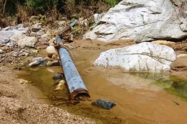 (bài thời sự): Cách xử lý nguồn nước bị ôi nhiễm trong và sau lũ lụt ở Nghệ An 2