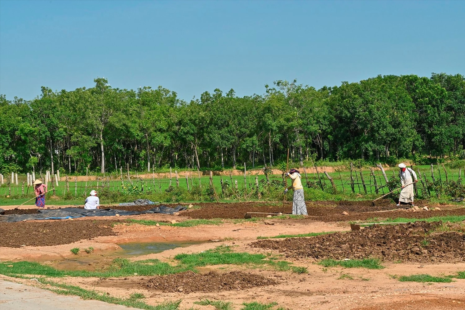 Tuy có nhiều nỗ lực, song tỷ lệ giải ngân nguồn vốn các Chương trình MTQG ở Bình Thuận vẫn chưa đạt yêu cầu (ảnh minh hoạ)