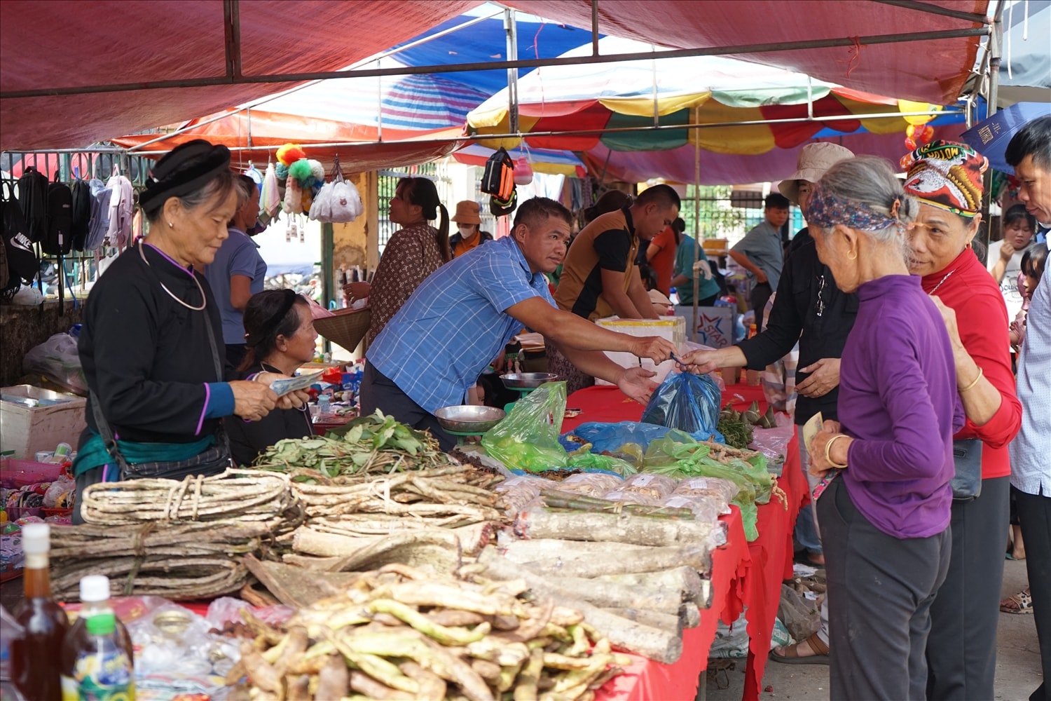Gian hàng với nhiều sản phẩm OCOP và đặc trưng địa phương