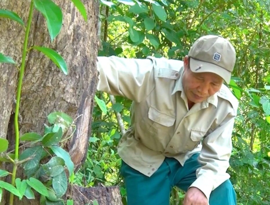 Ông Kha Văn Tuấn (sinh năm 1961) ở bản Na Hang, xã Mai Sơn, Tương Dương trong một chuyến tuần tra bảo vệ rừng Ông Kha Văn Tuấn (sinh năm 1961) ở bản Na Hang, xã Mai Sơn, Tương Dương trong một chuyến tuần tra bảo vệ rừng