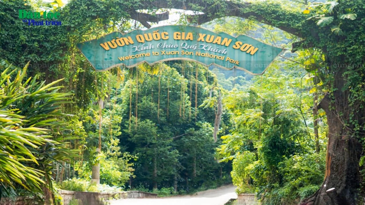 Trải nghiệm Vườn Quốc gia Xuân Sơn 