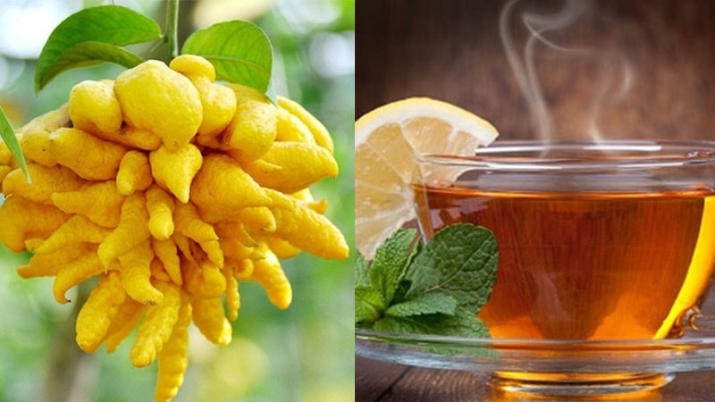 (Tổng hợp) Công dụng chữa bệnh tuyệt vời từ quả phật thủ 4