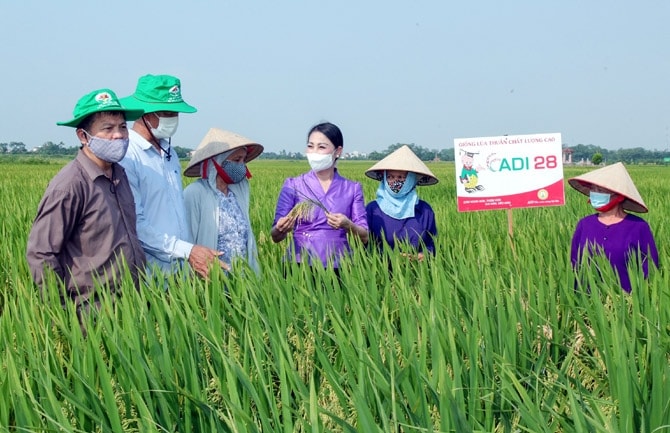 Phát triển nông nghiệp theo hướng bền vững được xác định là một trong những nhiệm vụ quan trọng của tỉnh Vĩnh Phúc.