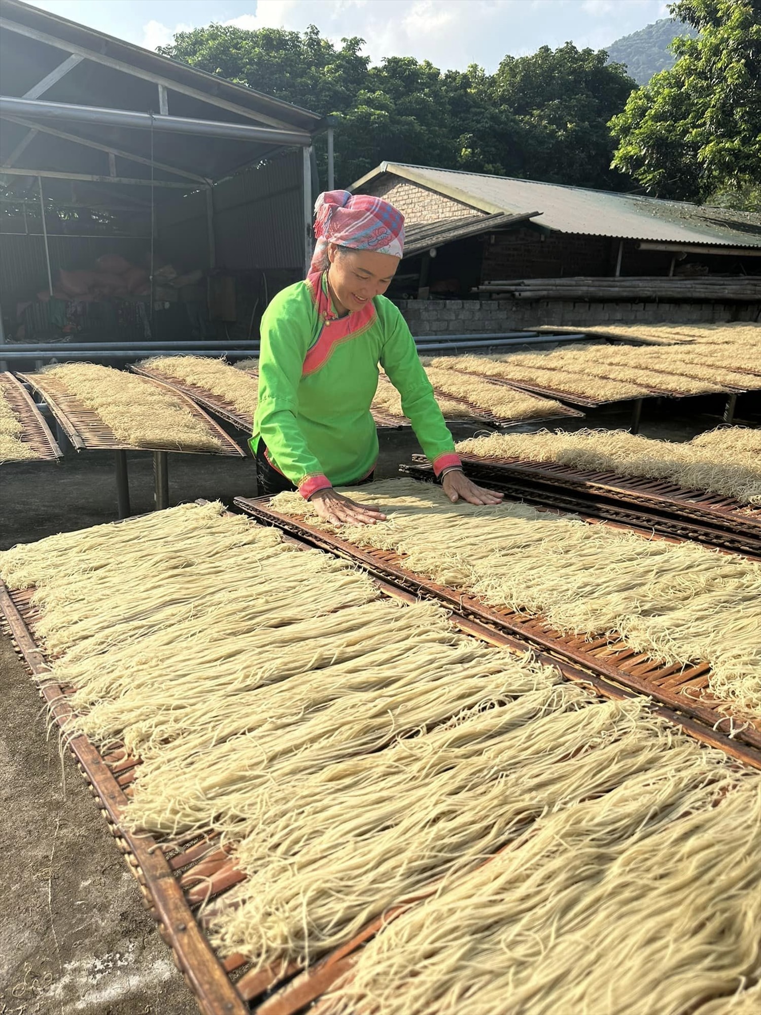 Phơi miến Phơi miến