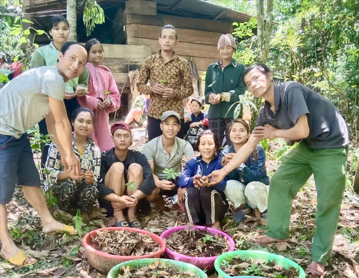 Các thanh niên được hỗ trợ giống sâm Ngọc Linh để phát triển kinh tế ở thôn 3, xã Trà Linh.