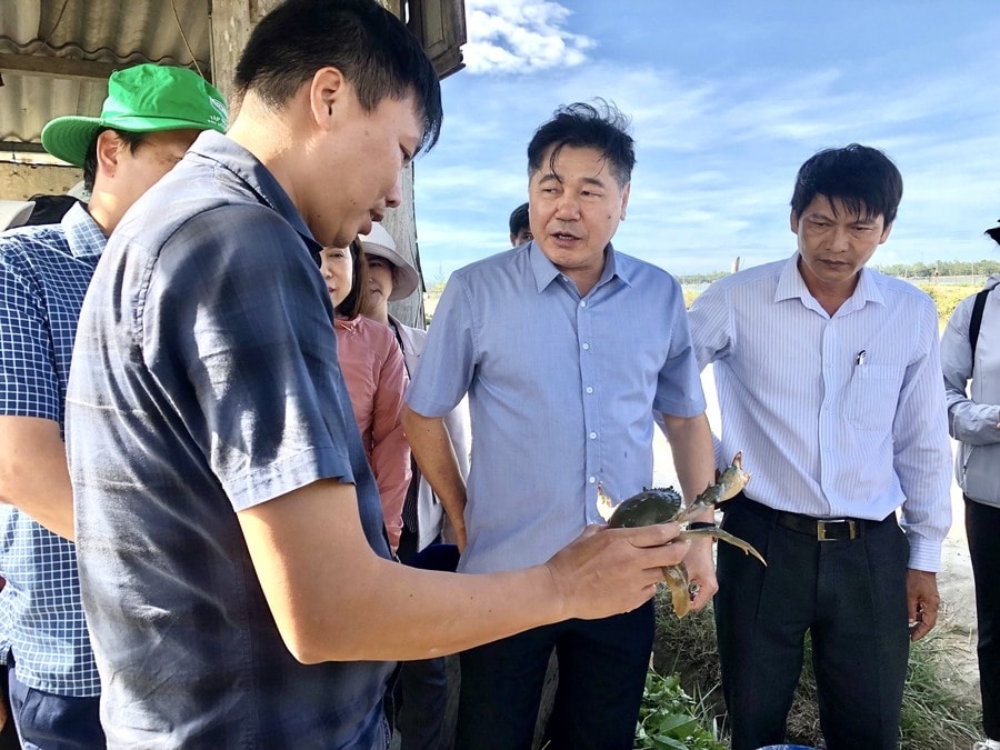 Trong 30 năm qua, hoạt động xây dựng và nhân rộng mô hình trình diễn là hoạt động chính của hệ thống khuyến nông.