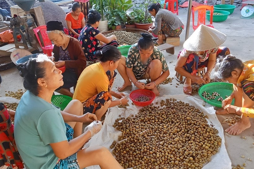 Giải quyết việc làm cho lao động nông thôn miền núi đang là vấn đề đặc biệt quan tâm. Trong ảnh bà con vùng miền núi sơ chế quả bo bo
