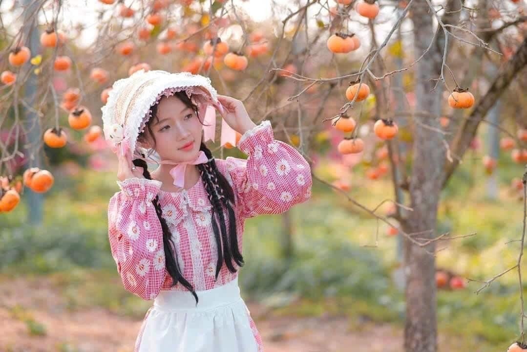 Du lịch Mộc Châu tháng 11: Độc đáo trải nghiệm mùa hồng thơ mộng 4