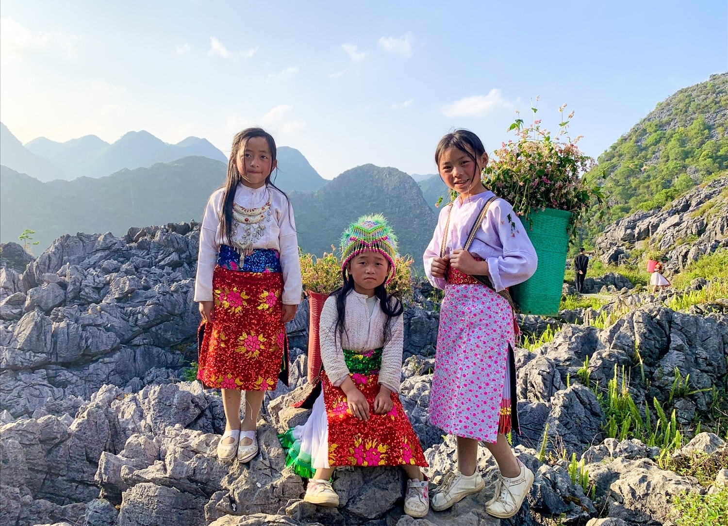 Sinh động vườn đá tai mèo