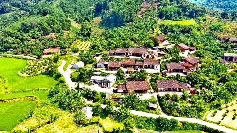 Bản Bắc Hoa, xã Tân Sơn, huyện Lục Ngạn, tỉnh Bắc Giang là nơi có 100% dân số là đồng bào Nùng sinh sống. Bản Bắc Hoa, xã Tân Sơn, huyện Lục Ngạn, tỉnh Bắc Giang là nơi có 100% dân số là đồng bào Nùng sinh sống.