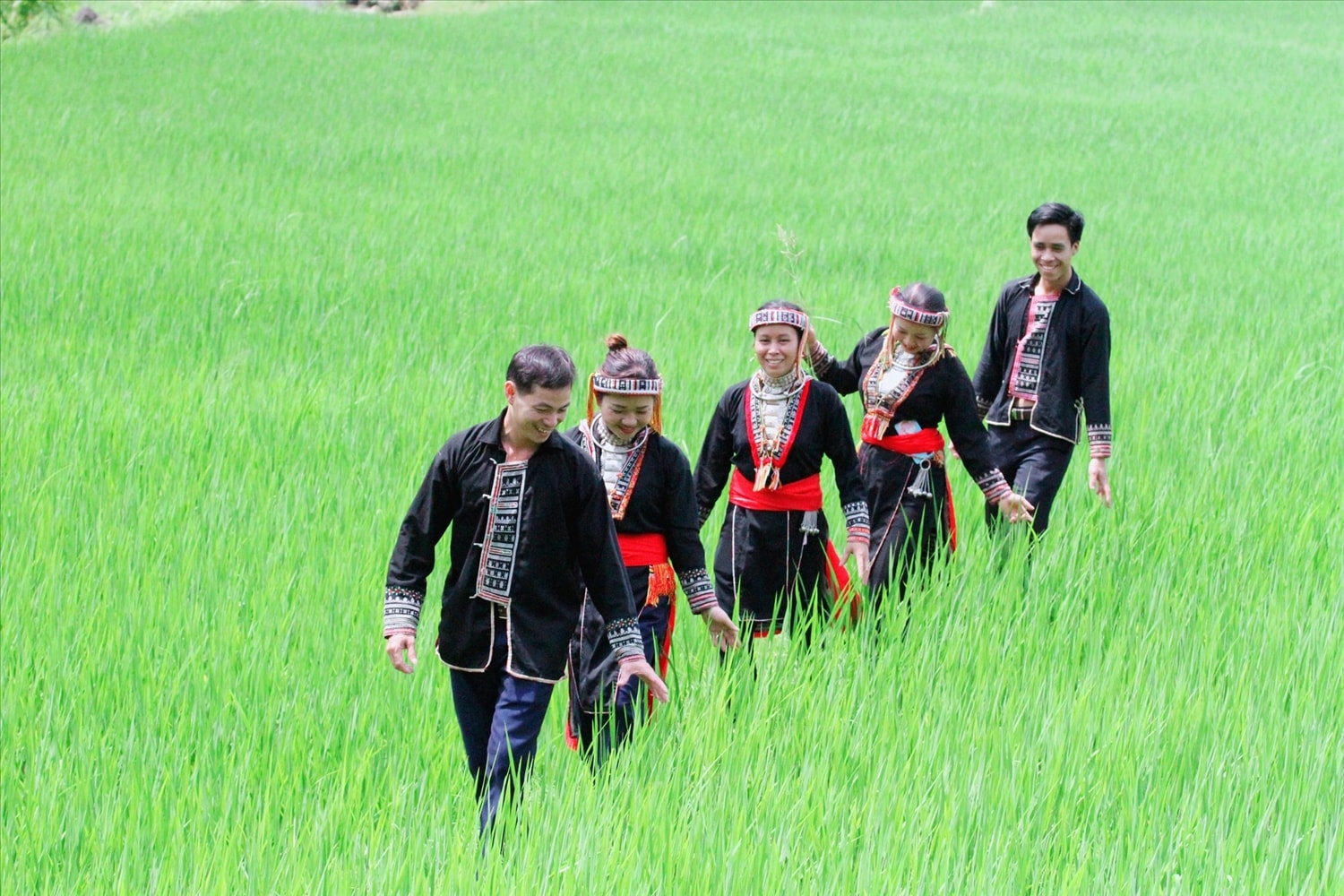 Những cánh đồng lúa nơi vùng cao Tây Bắc là nơi cho những mùa nếp bội thu.