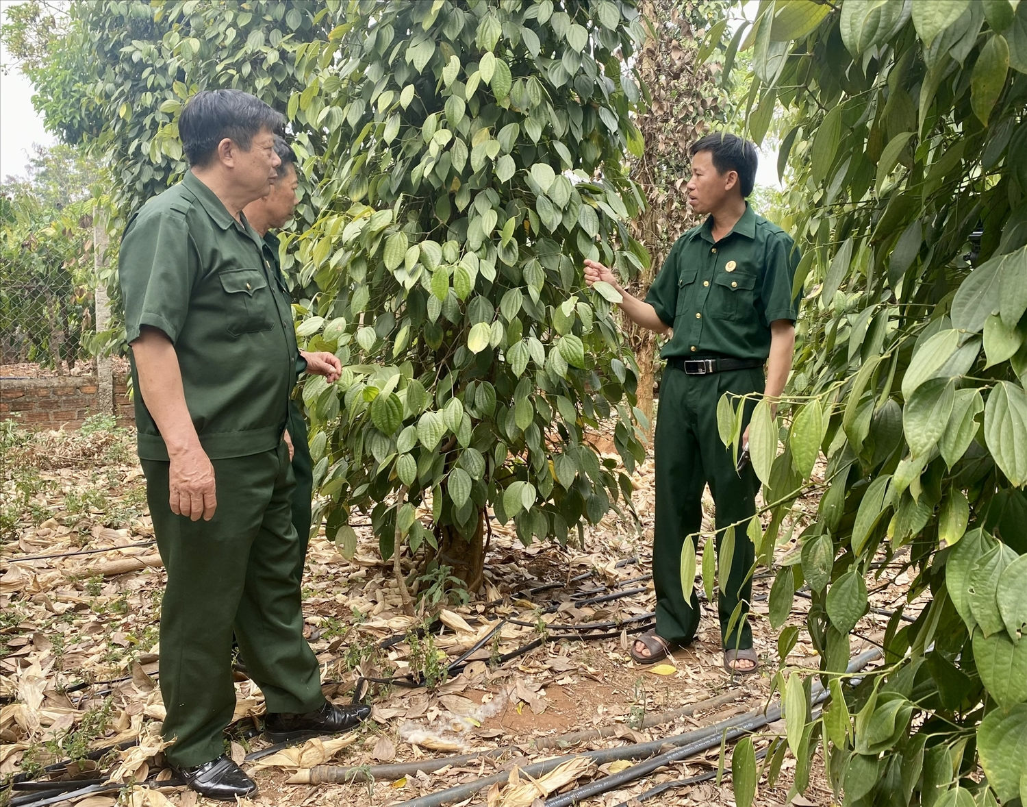 Hội Cựu chiến binh xã Ia Chim, Tp. Kon Tum tuyên truyền, vận động hội viên đoàn kết, giúp nhau phát triển kinh tế