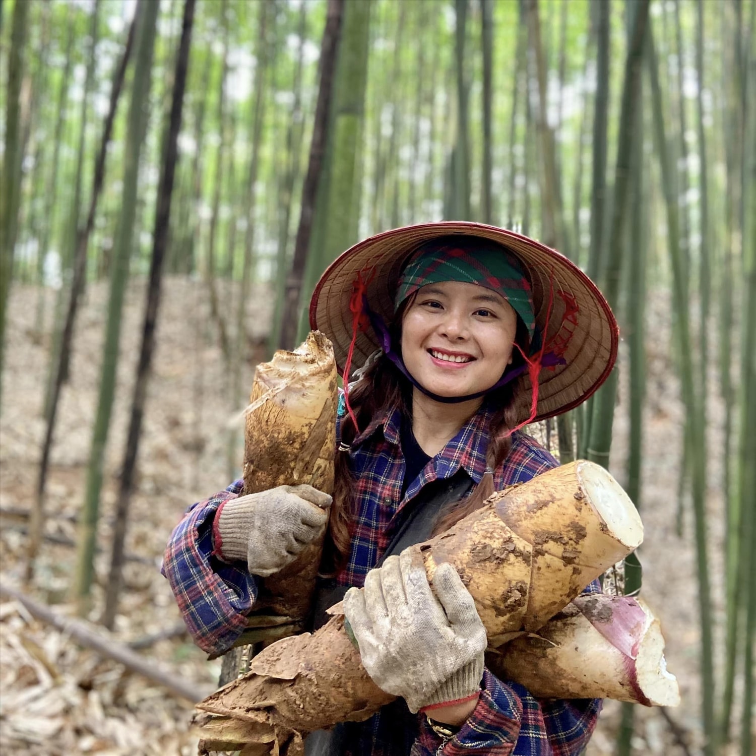 Dù trải qua các công việc ở nhiều tổ chức có uy tín, với mức thu nhập đáng mơ ước, nhưng khát khao về bản vẫn rạo rực trong Yến, đưa cô đến một quyết định bất ngờ: “bỏ phố về rừng”,