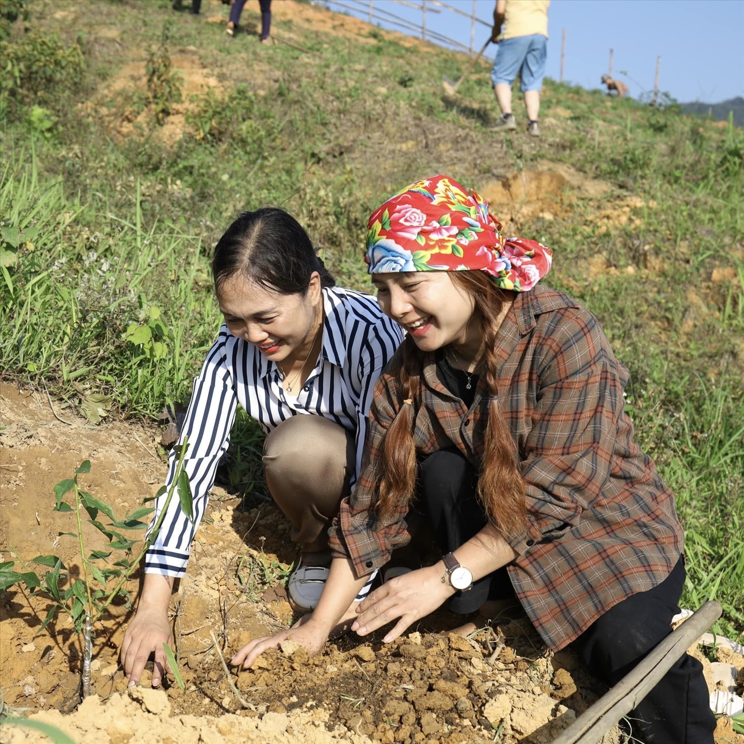 Cùng trồng cây giống sinh kế, ươm mầm thêm hy vọng thoát nghèo cho người dân nghèo vùng biên cương Bát Xát